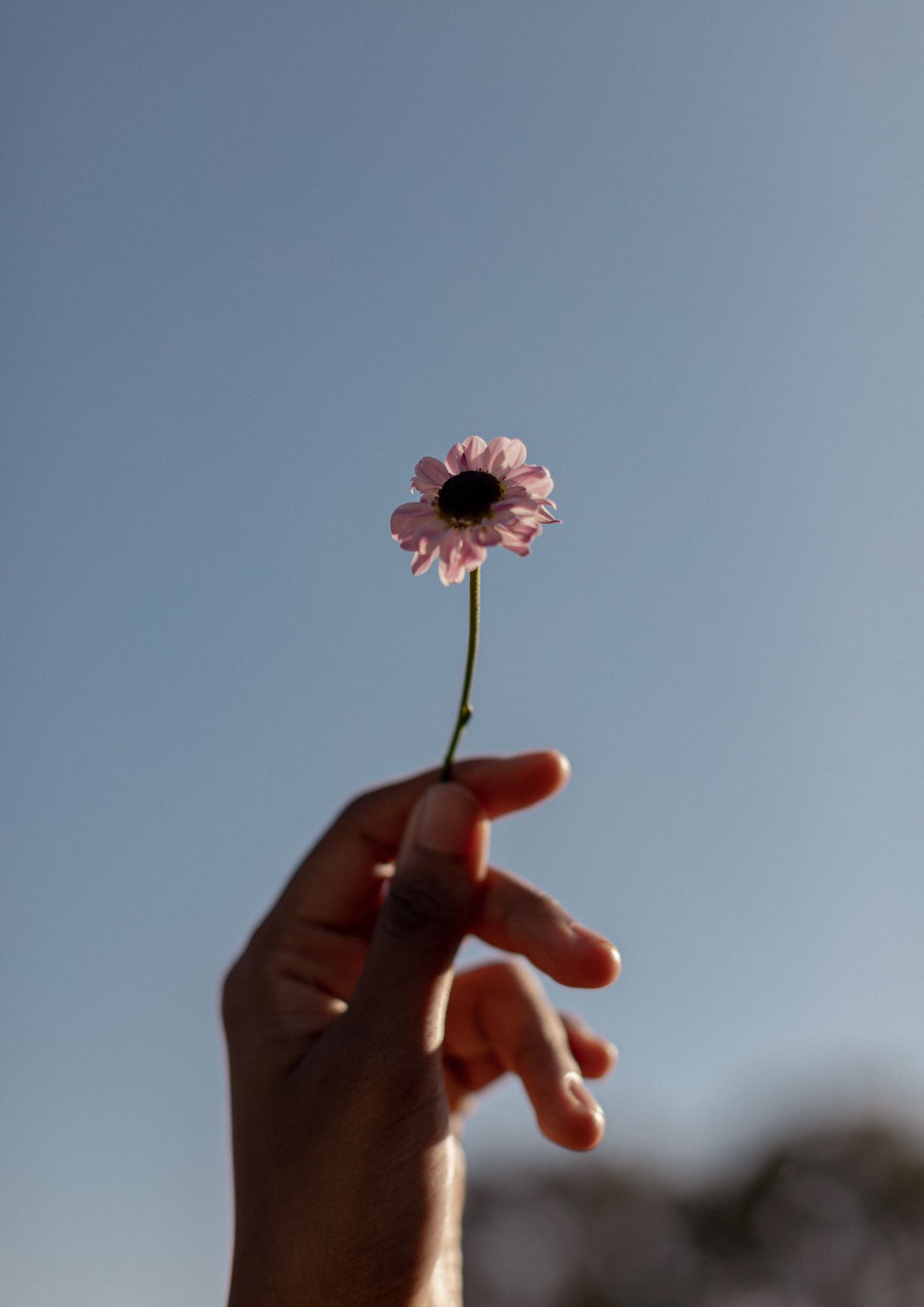 Imagem extra 1 de Qual o impacto da sua presença?